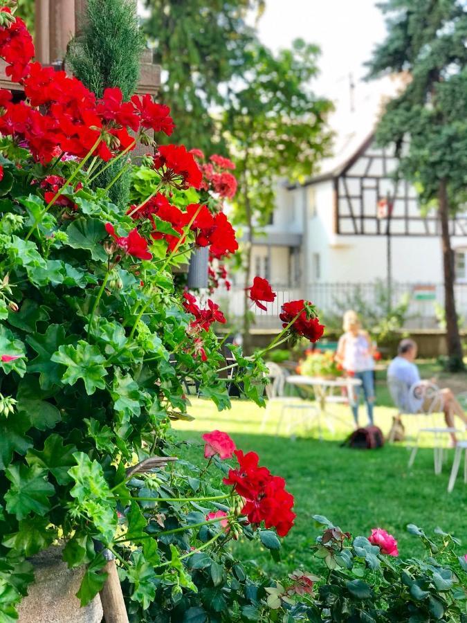 Hotel Le Manoir Barr Εξωτερικό φωτογραφία