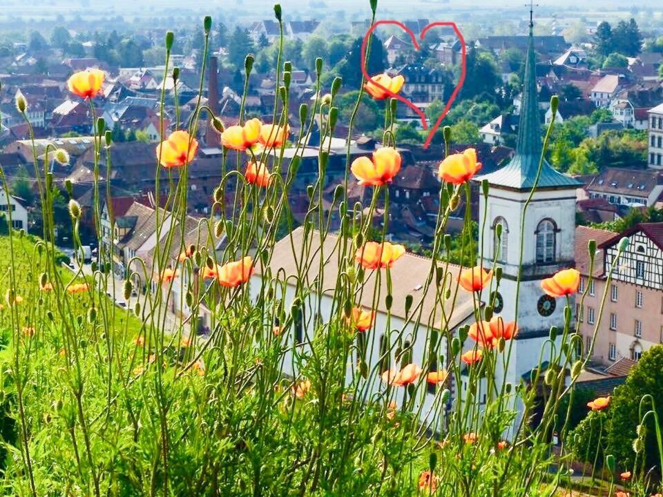 Hotel Le Manoir Barr Εξωτερικό φωτογραφία